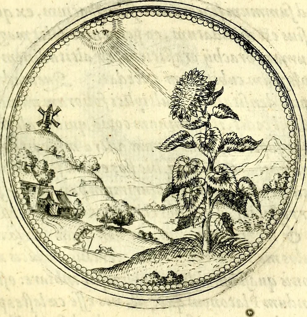 An illustration from Symbolorvm et emblematvm ex re herbaria desvmtorvm centvria vna, 1590, leaf 132