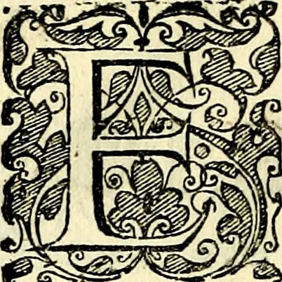 An illustration from Symbolorvm et emblematvm ex re herbaria desvmtorvm centvria vna, 1590, leaf 133