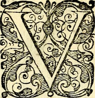 An illustration from Symbolorvm et emblematvm ex re herbaria desvmtorvm centvria vna, 1590, leaf 139