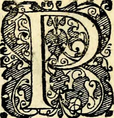 An illustration from Symbolorvm et emblematvm ex re herbaria desvmtorvm centvria vna, 1590, leaf 141