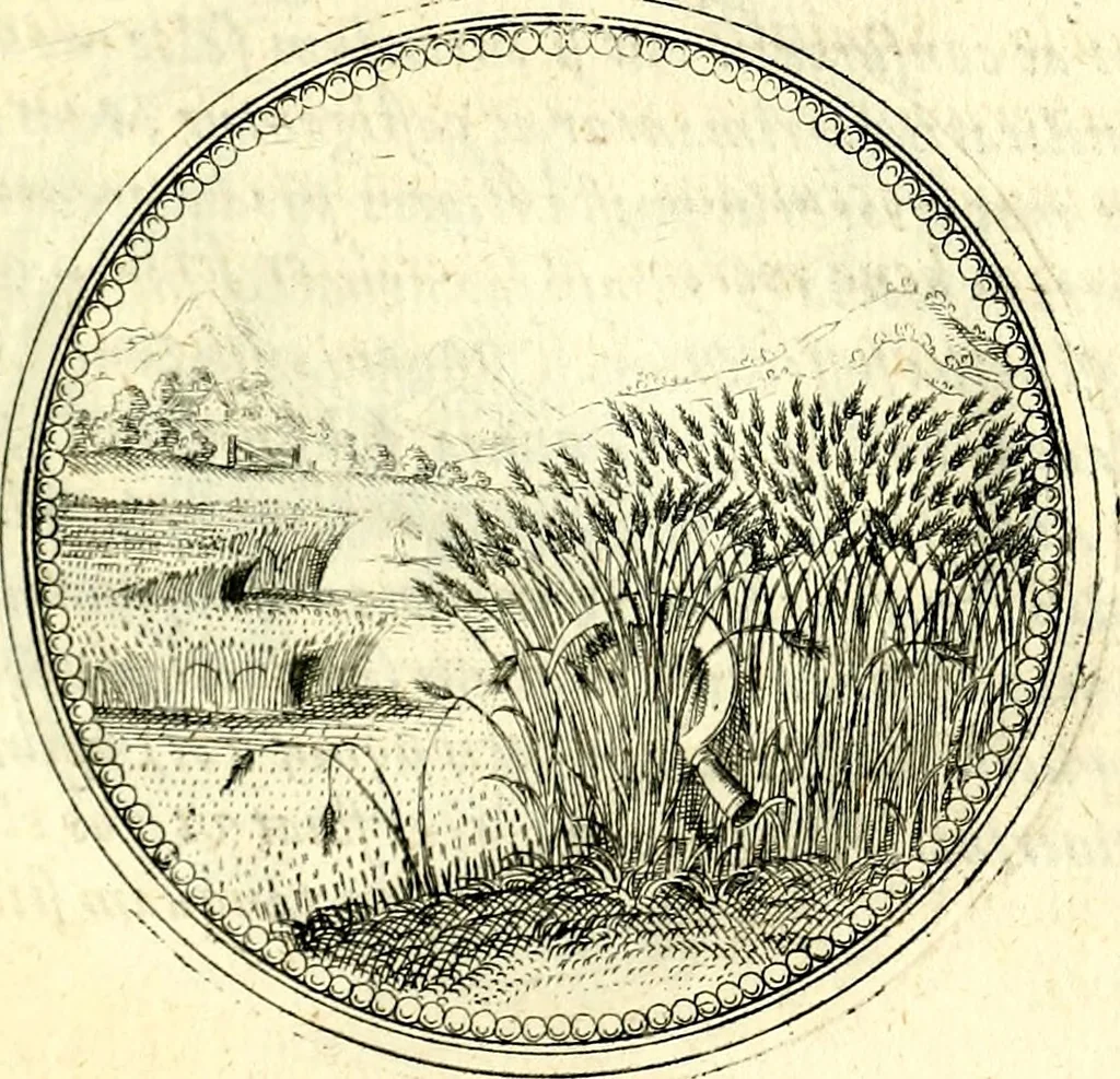 An illustration from Symbolorvm et emblematvm ex re herbaria desvmtorvm centvria vna, 1590, leaf 146