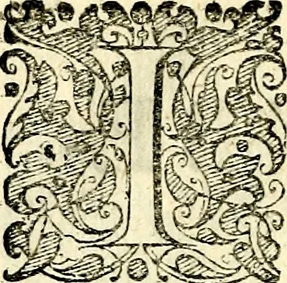 An illustration from Symbolorvm et emblematvm ex re herbaria desvmtorvm centvria vna, 1590, leaf 147
