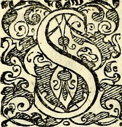 An illustration from Symbolorvm et emblematvm ex re herbaria desvmtorvm centvria vna, 1590, leaf 149