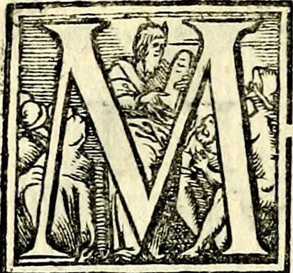 An illustration from Symbolorvm et emblematvm ex re herbaria desvmtorvm centvria vna, 1590, leaf 153
