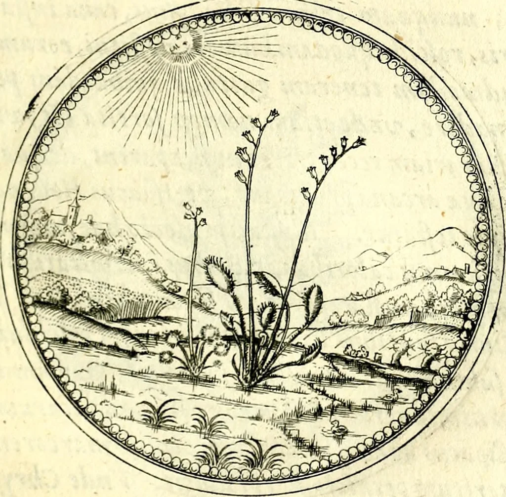 An illustration from Symbolorvm et emblematvm ex re herbaria desvmtorvm centvria vna, 1590, leaf 154