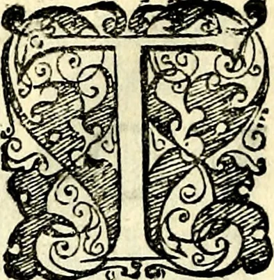 An illustration from Symbolorvm et emblematvm ex re herbaria desvmtorvm centvria vna, 1590, leaf 159