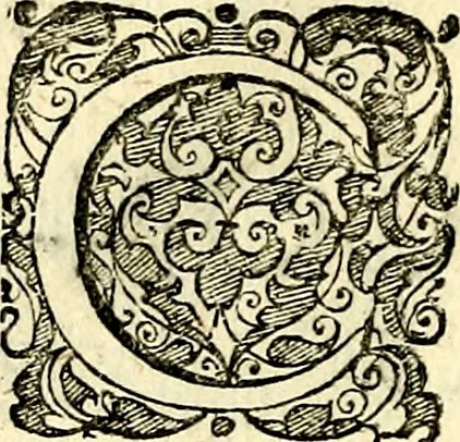 An illustration from Symbolorvm et emblematvm ex re herbaria desvmtorvm centvria vna, 1590, leaf 163