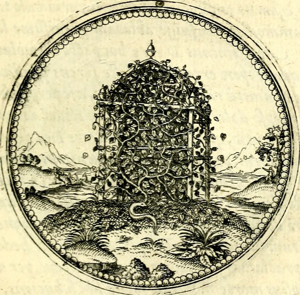 An illustration from Symbolorvm et emblematvm ex re herbaria desvmtorvm centvria vna, 1590, leaf 164