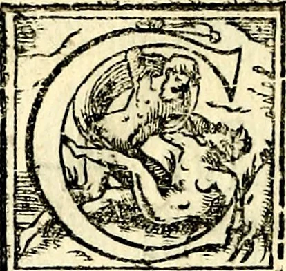 An illustration from Symbolorvm et emblematvm ex re herbaria desvmtorvm centvria vna, 1590, leaf 165