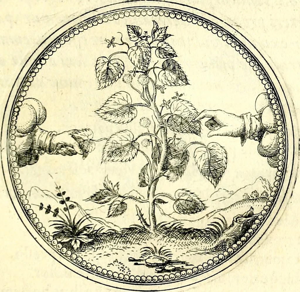 An illustration from Symbolorvm et emblematvm ex re herbaria desvmtorvm centvria vna, 1590, leaf 170
