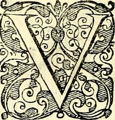 An illustration from Symbolorvm et emblematvm ex re herbaria desvmtorvm centvria vna, 1590, leaf 171