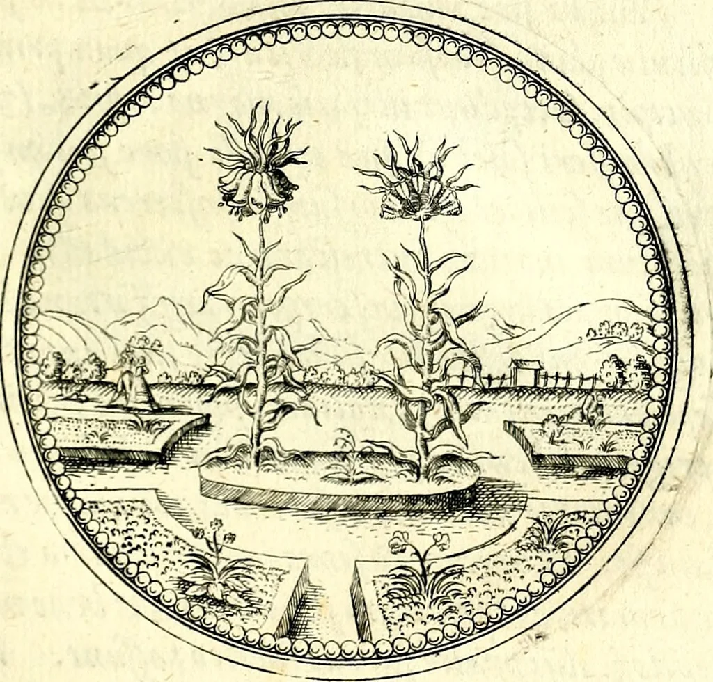 An illustration from Symbolorvm et emblematvm ex re herbaria desvmtorvm centvria vna, 1590, leaf 176