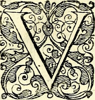 An illustration from Symbolorvm et emblematvm ex re herbaria desvmtorvm centvria vna, 1590, leaf 177