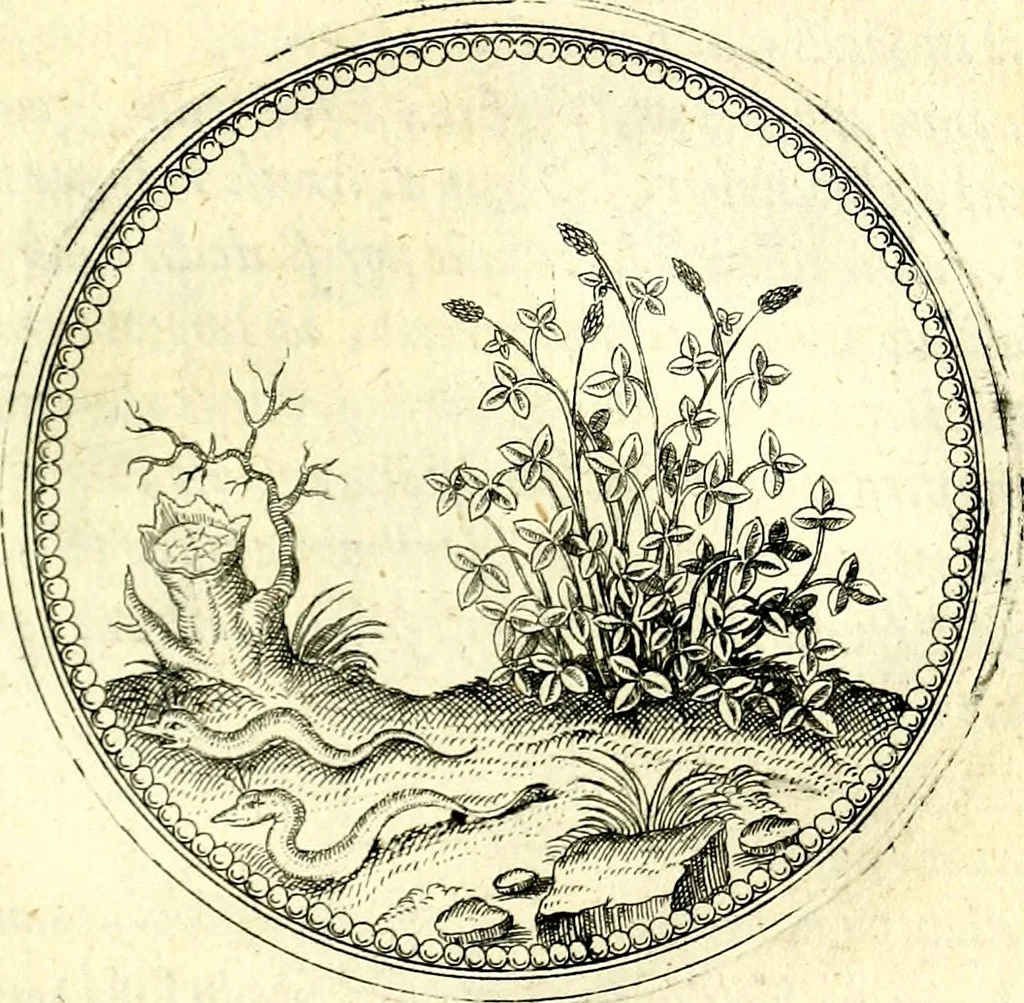 An illustration from Symbolorvm et emblematvm ex re herbaria desvmtorvm centvria vna, 1590, leaf 182