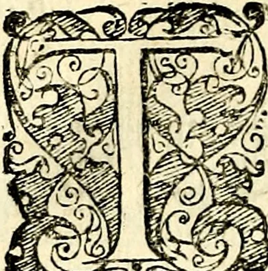 An illustration from Symbolorvm et emblematvm ex re herbaria desvmtorvm centvria vna, 1590, leaf 183