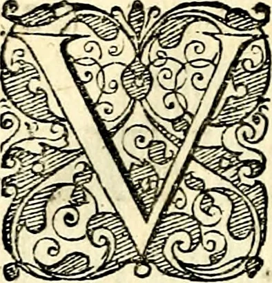An illustration from Symbolorvm et emblematvm ex re herbaria desvmtorvm centvria vna, 1590, leaf 187