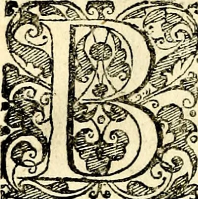 An illustration from Symbolorvm et emblematvm ex re herbaria desvmtorvm centvria vna, 1590, leaf 189