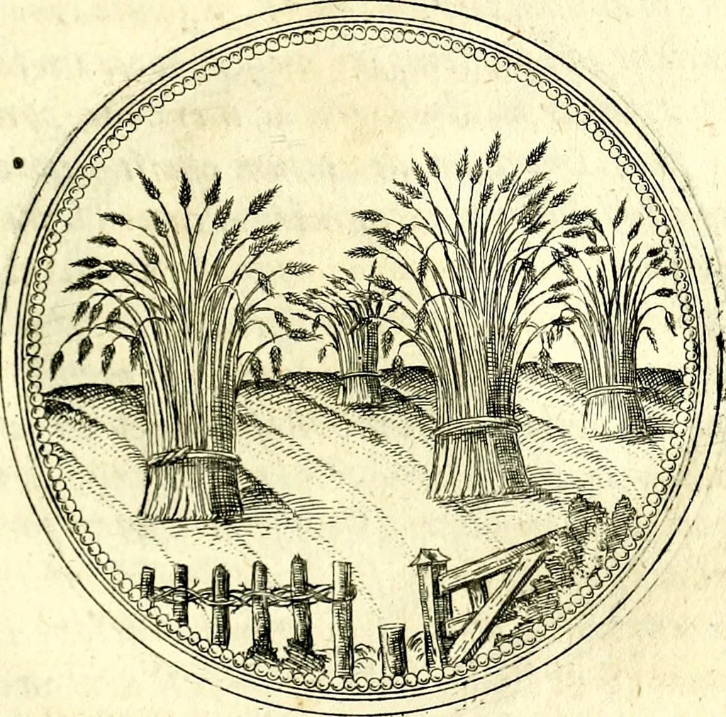 An illustration from Symbolorvm et emblematvm ex re herbaria desvmtorvm centvria vna, 1590, leaf 190