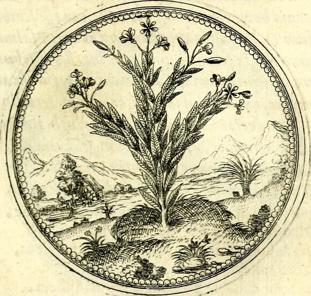 An illustration from Symbolorvm et emblematvm ex re herbaria desvmtorvm centvria vna, 1590, leaf 192