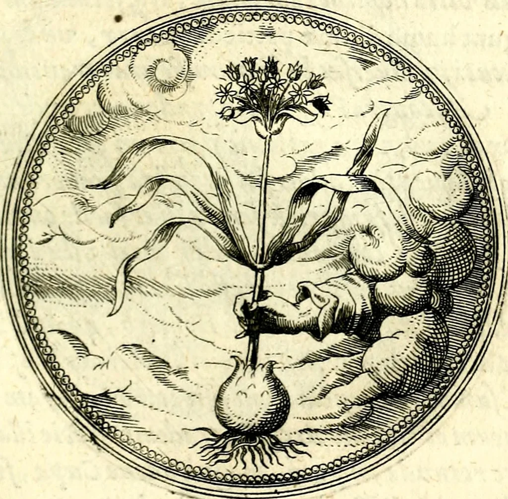 An illustration from Symbolorvm et emblematvm ex re herbaria desvmtorvm centvria vna, 1590, leaf 194