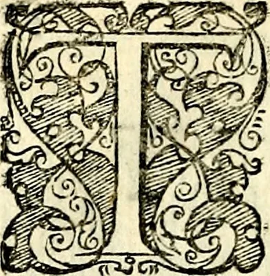 An illustration from Symbolorvm et emblematvm ex re herbaria desvmtorvm centvria vna, 1590, leaf 197