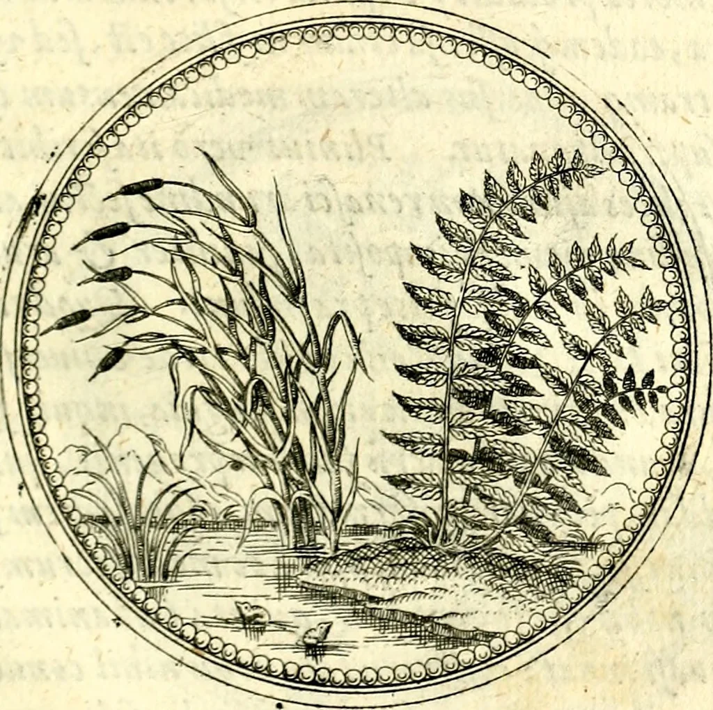 An illustration from Symbolorvm et emblematvm ex re herbaria desvmtorvm centvria vna, 1590, leaf 198