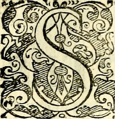 An illustration from Symbolorvm et emblematvm ex re herbaria desvmtorvm centvria vna, 1590, leaf 199