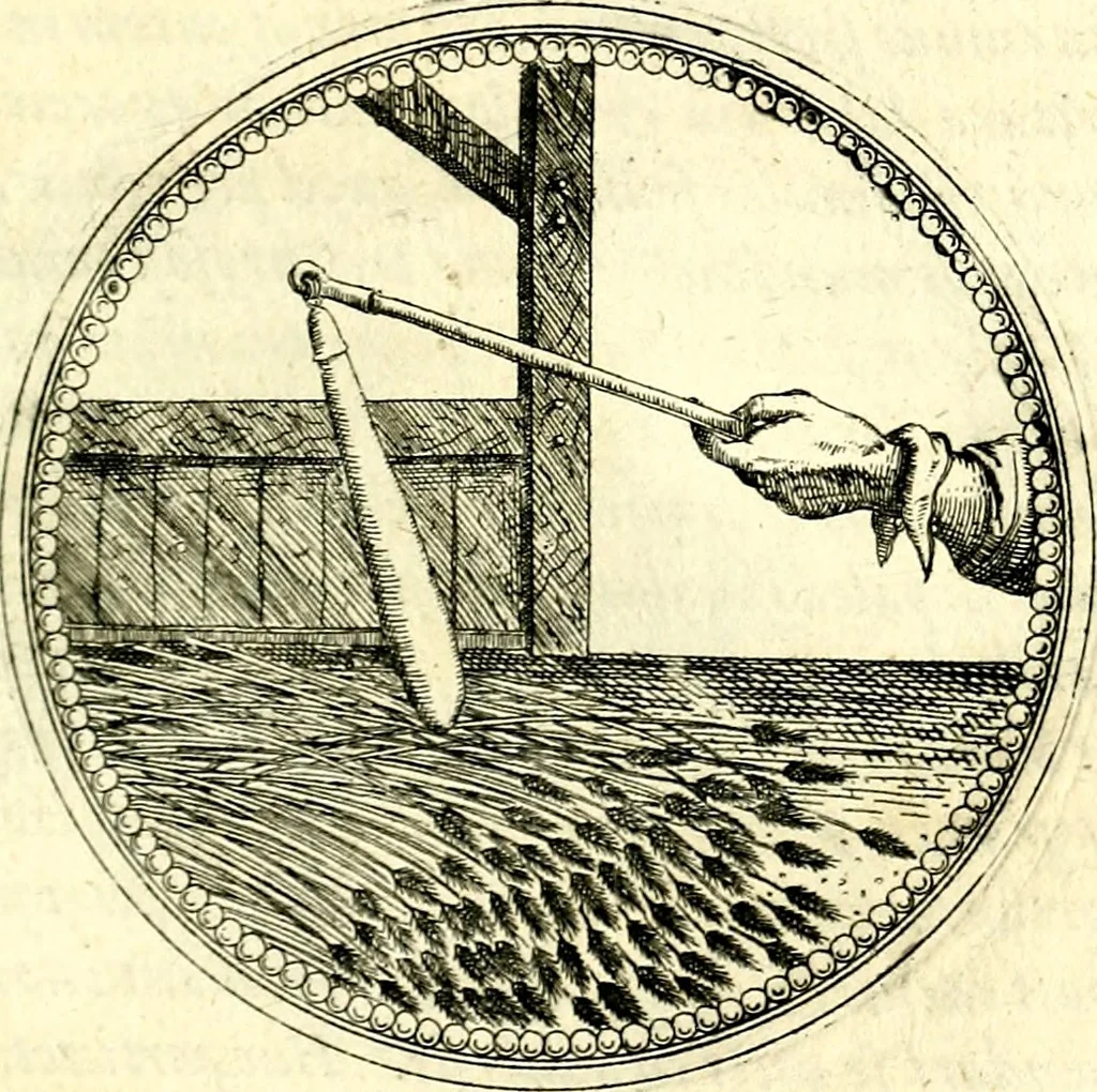 An illustration from Symbolorvm et emblematvm ex re herbaria desvmtorvm centvria vna, 1590, leaf 202