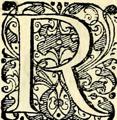 An illustration from Symbolorvm et emblematvm ex re herbaria desvmtorvm centvria vna, 1590, leaf 203