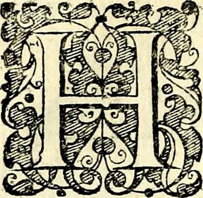 An illustration from Symbolorvm et emblematvm ex re herbaria desvmtorvm centvria vna, 1590, leaf 205