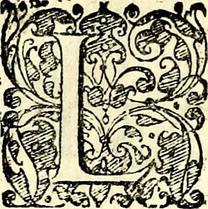 An illustration from Symbolorvm et emblematvm ex re herbaria desvmtorvm centvria vna, 1590, leaf 207