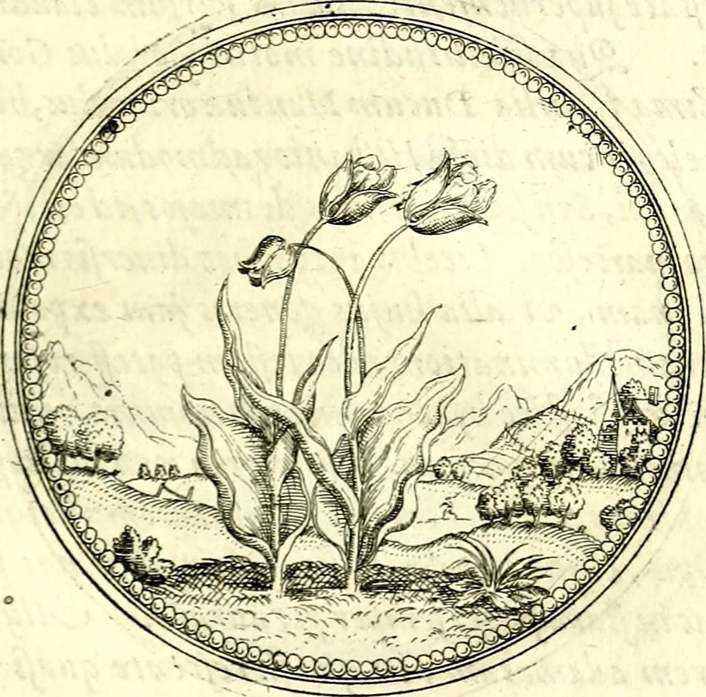 An illustration from Symbolorvm et emblematvm ex re herbaria desvmtorvm centvria vna, 1590, leaf 210