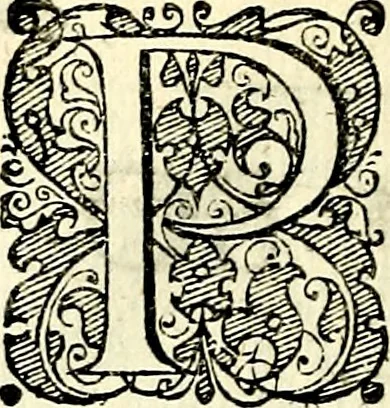 An illustration from Symbolorvm et emblematvm ex re herbaria desvmtorvm centvria vna, 1590, leaf 211