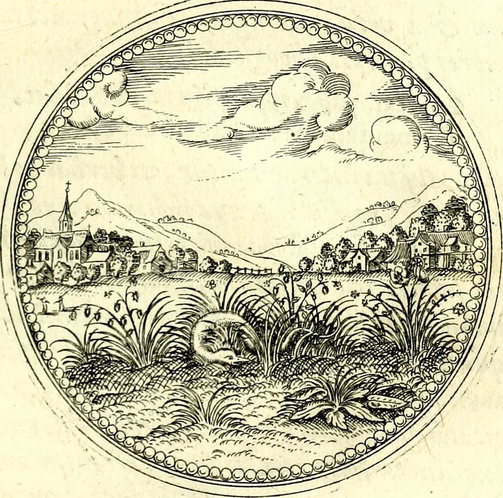 An illustration from Symbolorvm et emblematvm ex re herbaria desvmtorvm centvria vna, 1590, leaf 214