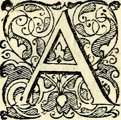 An illustration from Symbolorvm et emblematvm ex re herbaria desvmtorvm centvria vna, 1590, leaf 215