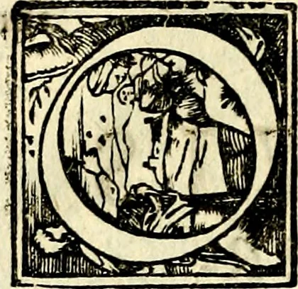 An illustration from Symbolorvm et emblematvm ex re herbaria desvmtorvm centvria vna, 1590, leaf 217