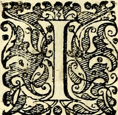 An illustration from Symbolorvm et emblematvm ex re herbaria desvmtorvm centvria vna, 1590, leaf 223