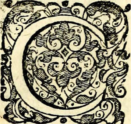 An illustration from Symbolorvm et emblematvm ex re herbaria desvmtorvm centvria vna, 1590, leaf 225