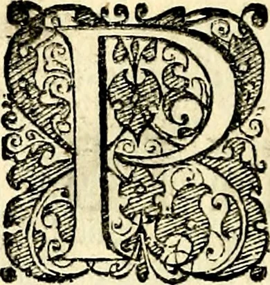 An illustration from Symbolorvm et emblematvm ex re herbaria desvmtorvm centvria vna, 1590, leaf 231