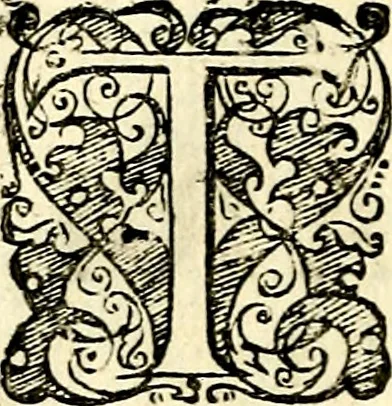 An illustration from Symbolorvm et emblematvm ex re herbaria desvmtorvm centvria vna, 1590, leaf 233