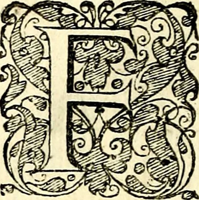 An illustration from Symbolorvm et emblematvm ex re herbaria desvmtorvm centvria vna, 1590, leaf 235