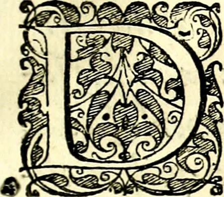An illustration from Symbolorvm et emblematvm ex re herbaria desvmtorvm centvria vna, 1590, leaf 236