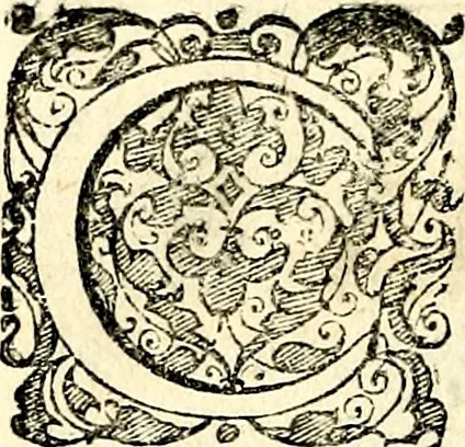An illustration from Symbolorvm et emblematvm ex re herbaria desvmtorvm centvria vna, 1590, leaf 37