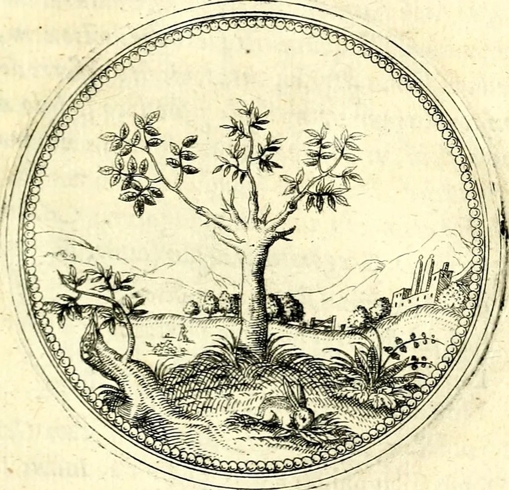 An illustration from Symbolorvm et emblematvm ex re herbaria desvmtorvm centvria vna, 1590, leaf 40