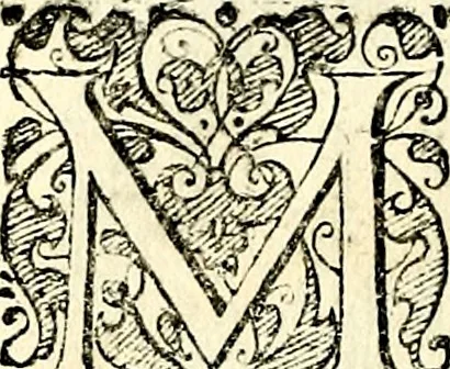 An illustration from Symbolorvm et emblematvm ex re herbaria desvmtorvm centvria vna, 1590, leaf 45