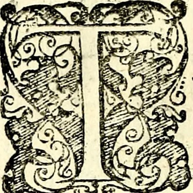 An illustration from Symbolorvm et emblematvm ex re herbaria desvmtorvm centvria vna, 1590, leaf 47