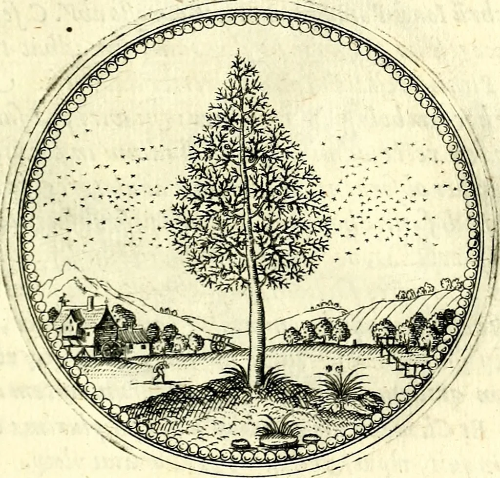 An illustration from Symbolorvm et emblematvm ex re herbaria desvmtorvm centvria vna, 1590, leaf 48
