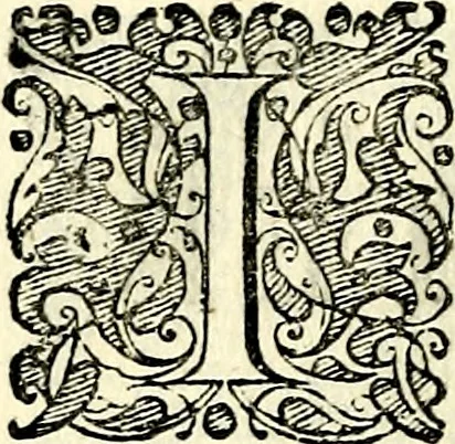 An illustration from Symbolorvm et emblematvm ex re herbaria desvmtorvm centvria vna, 1590, leaf 51