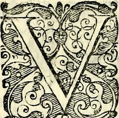 An illustration from Symbolorvm et emblematvm ex re herbaria desvmtorvm centvria vna, 1590, leaf 53