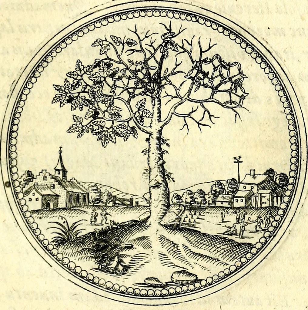 An illustration from Symbolorvm et emblematvm ex re herbaria desvmtorvm centvria vna, 1590, leaf 58